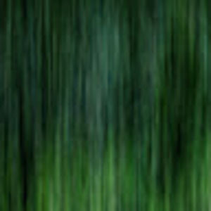 Meet your Posher, Tony